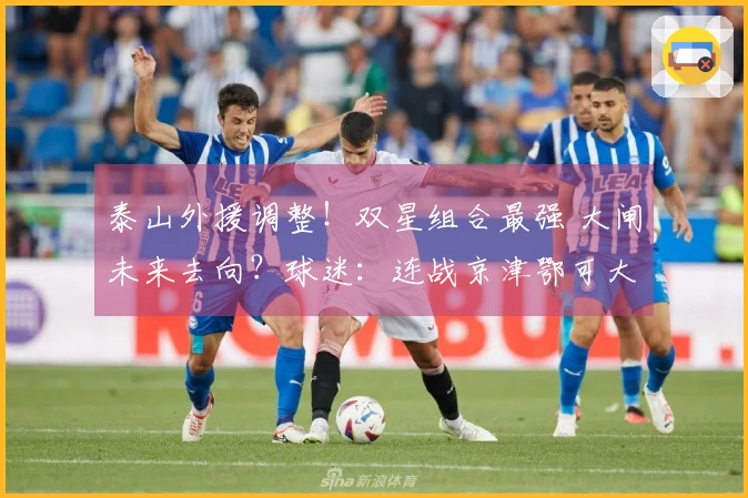 泰山外援调整！双星组合最强 大闸未来去向？球迷：连战京津鄂可大展拳脚